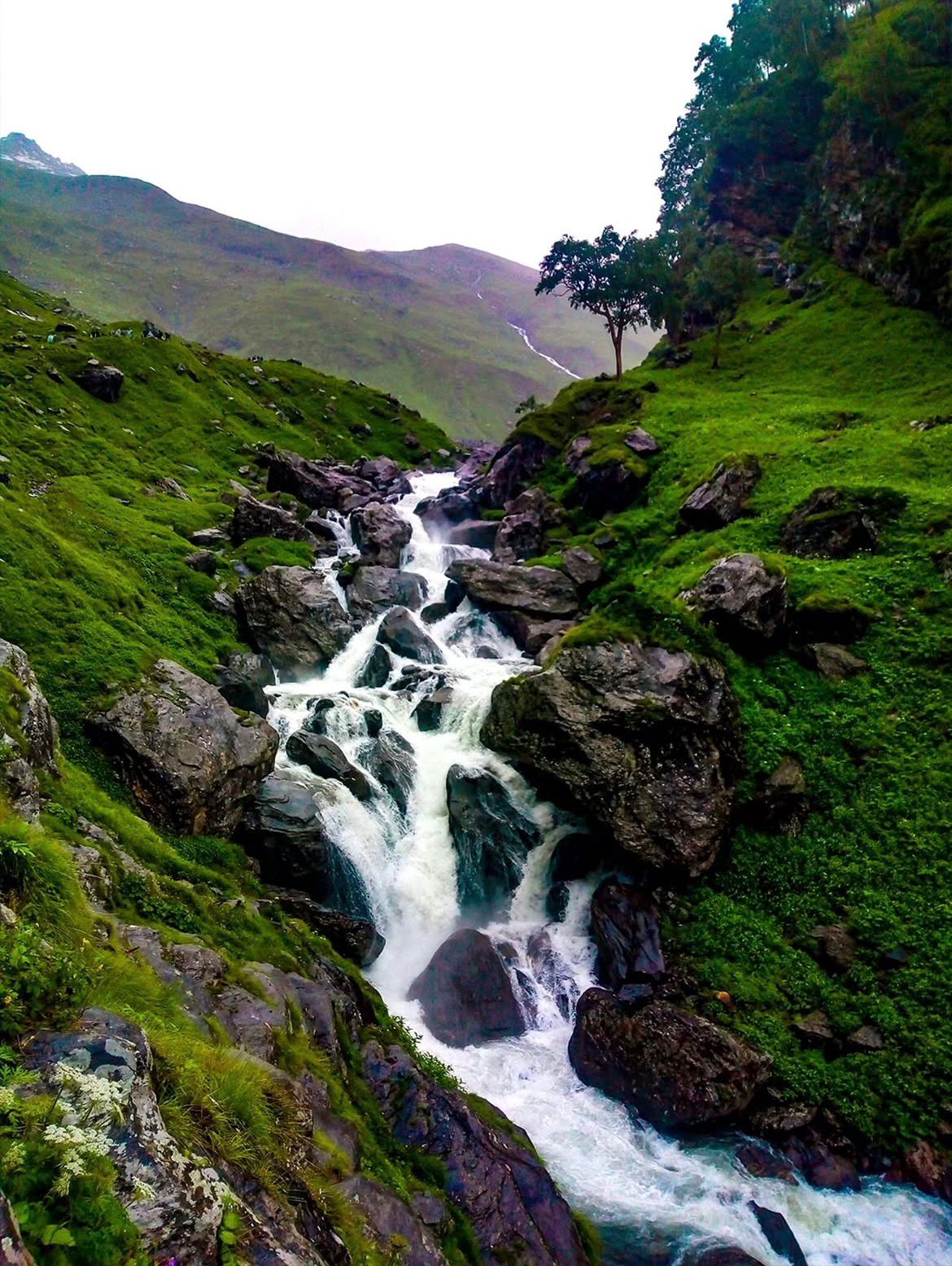 Hampta Pass Trek - Photo 2